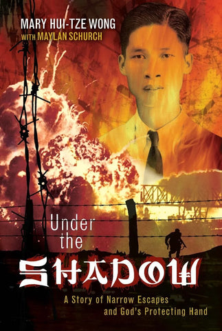 Under the Shadow