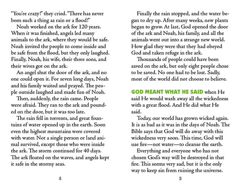 //store.youngdisciple.org/cdn/shop/products/ArkofSafety3_grande.jpg?v=1651255331