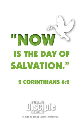 //store.youngdisciple.org/cdn/shop/products/ArkofSafety5_grande.jpg?v=1651255331