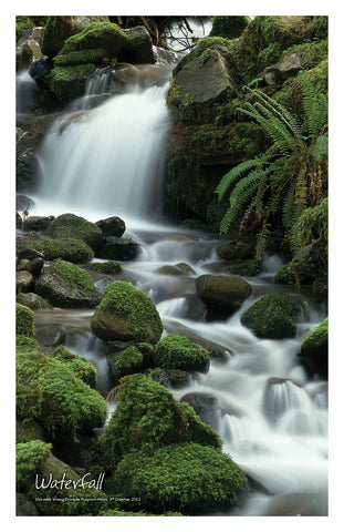 //store.youngdisciple.org/cdn/shop/products/nature_posters8_grande.jpg?v=1571438517