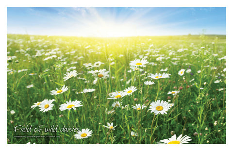 //store.youngdisciple.org/cdn/shop/products/nature_posters9_grande.jpg?v=1571438517