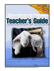 Teacher's Guide (2023Q2 - Christ's Object Lessons, #2)