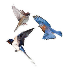 Bird Cutouts (Set of 13)