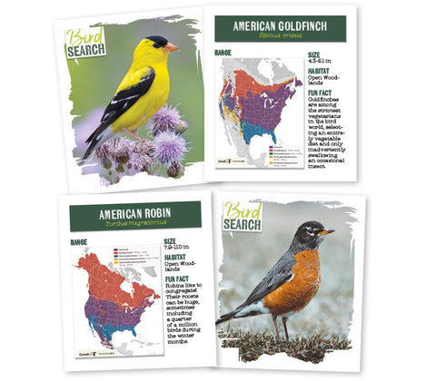 Bird ID Cards (36 Full-Color Flashcards)