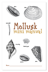Mollusk Mini Manual
